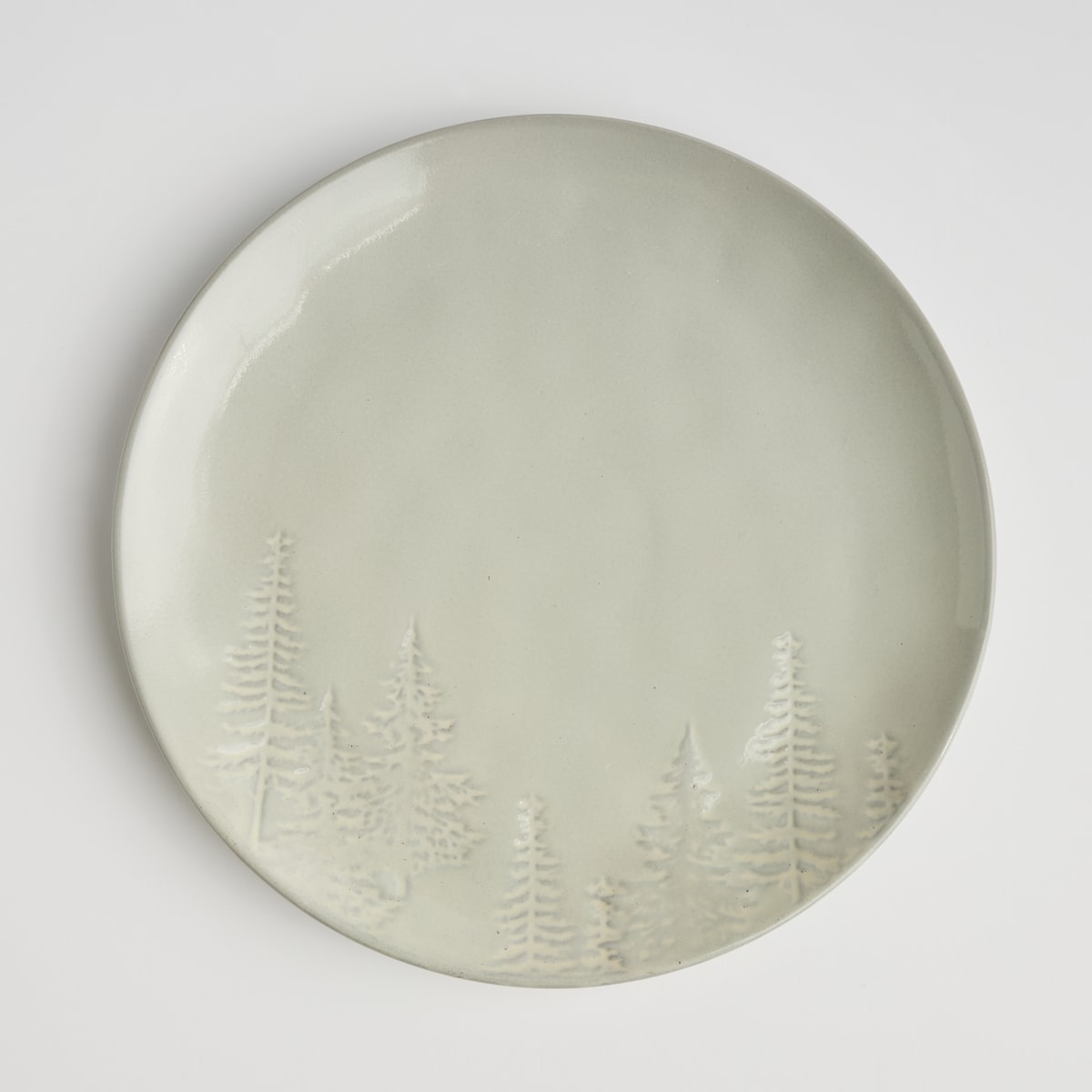 Patera Pino
