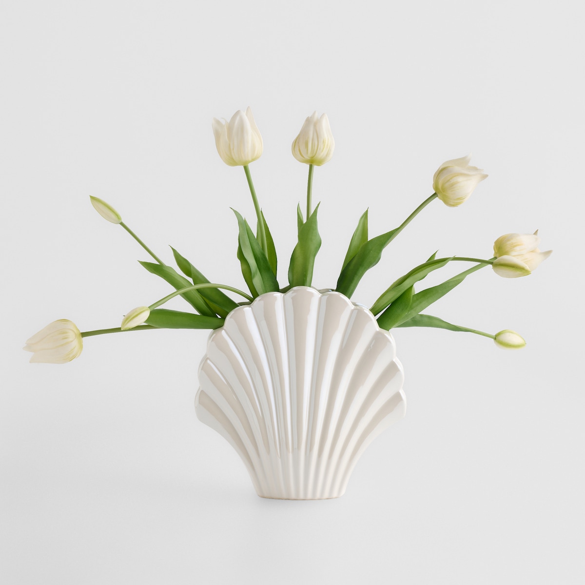 Wazon Seashell
